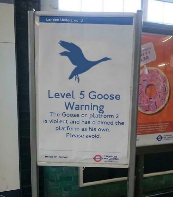 33 Funny Memes That Perfectly Capture British Humor, As Shared On This Online Group