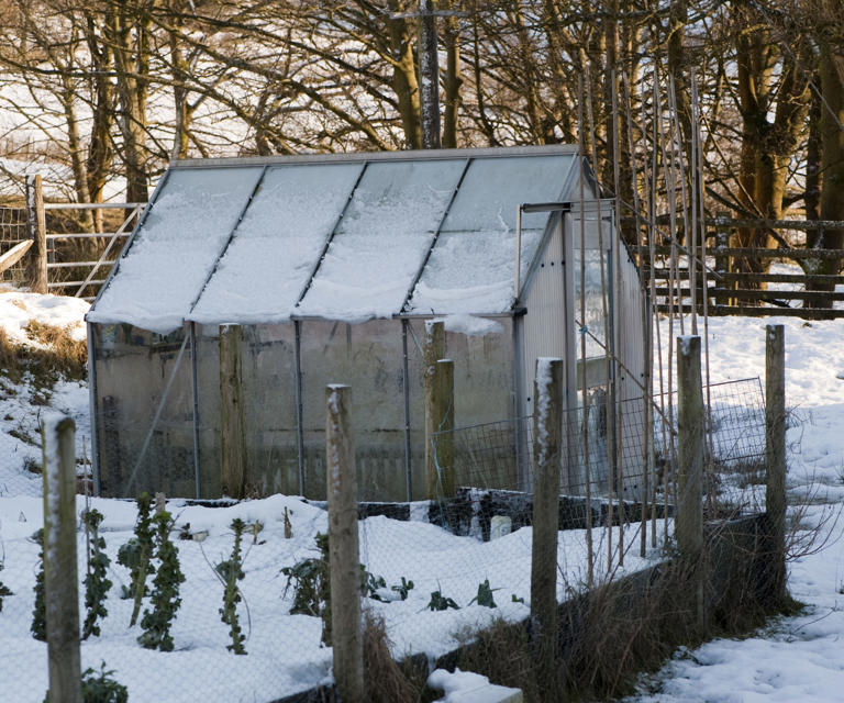 Your greenhouse might collapse if snow isn’t cleared: How to do it safely