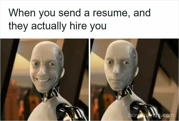 52 Hilarious Resume Memes That Might Be Painfully Relatable