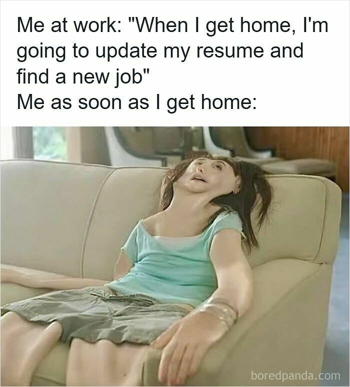 52 Hilarious Resume Memes That Might Be Painfully Relatable
