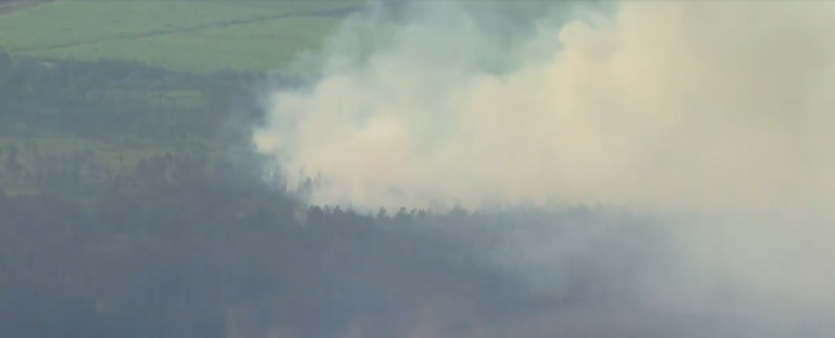 Smoke from the fire sparked by the crash can be seen from the air.