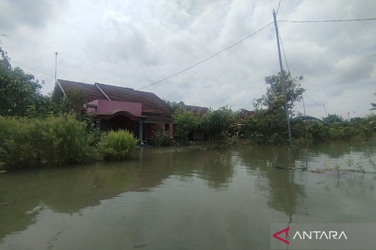Tim BPBD sedang melakukan pemantauan di lokasi bencana