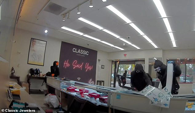 Brazen thieves crash car through jewelry store, steal owner's gun
