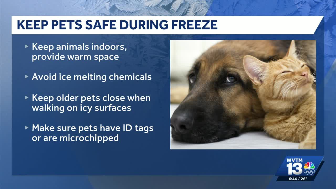 Jefferson County Sheriff's Office shares pet safety tips for cold weather
