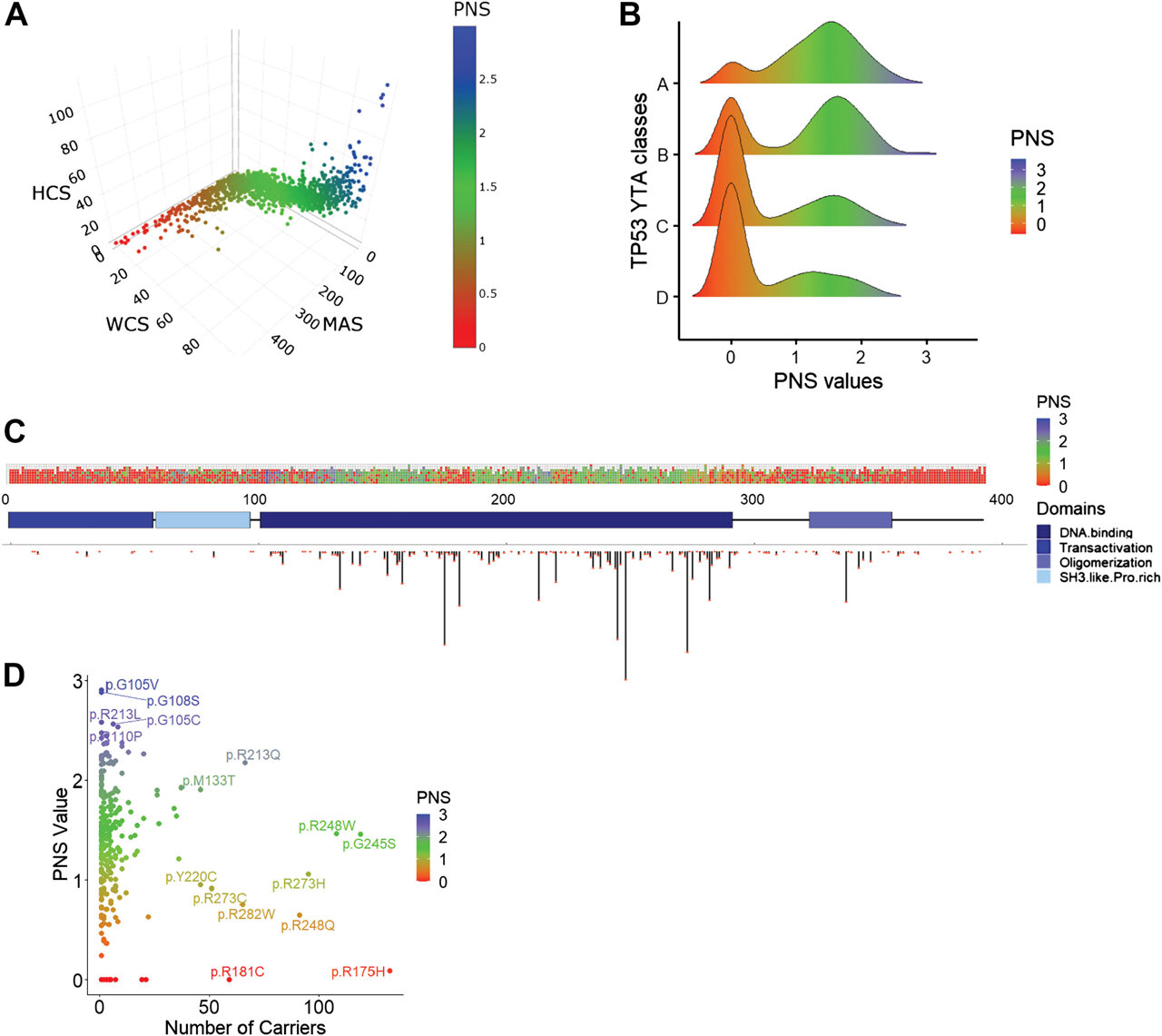 Li-Fraumeni syndrome: How the immune system may shape inherited cancer risk<br>