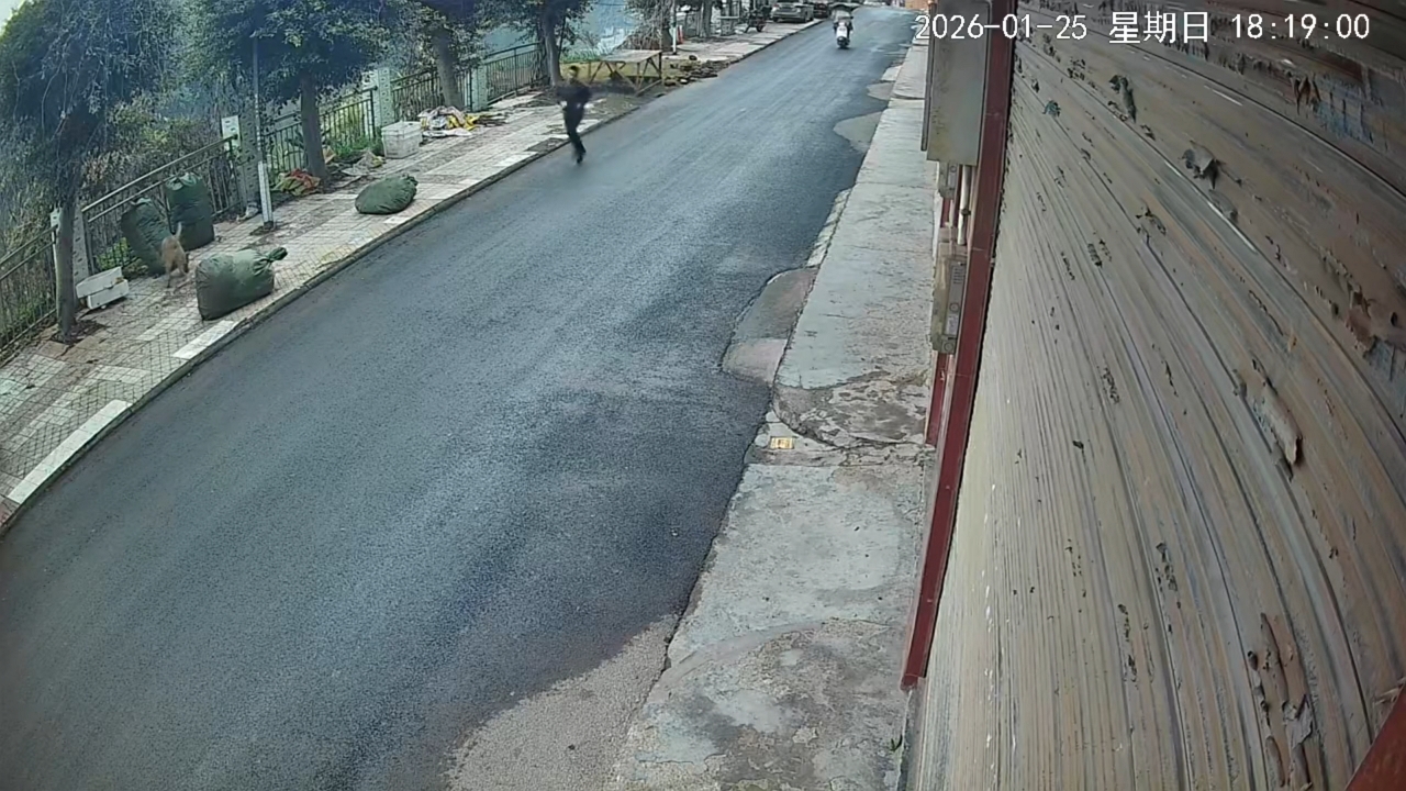 Runner chased by unleashed dog until scooter intervenes in Sichuan, China<br>
