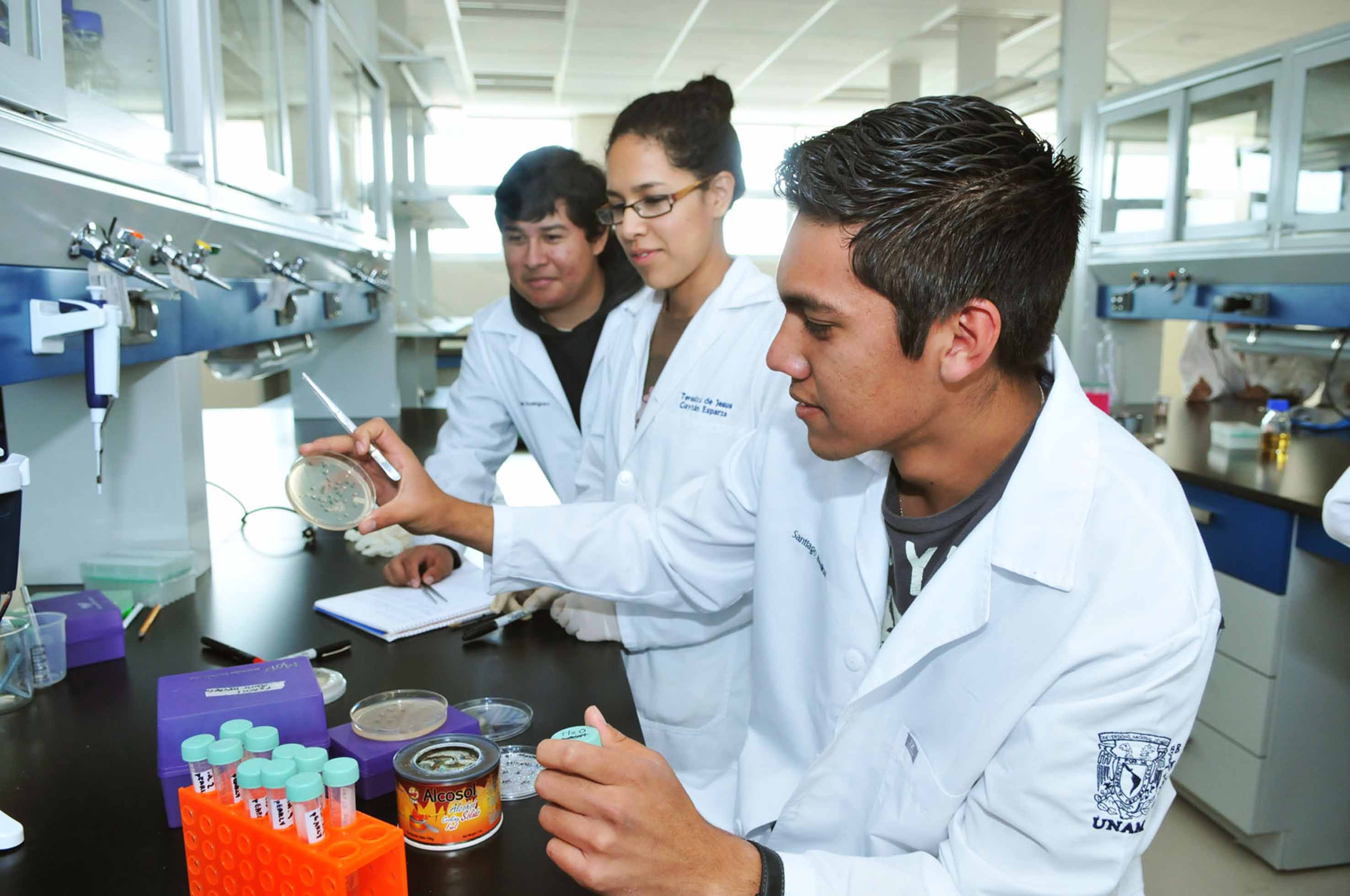 La UNAM sube en ranking mundial 2026, pero no es la universidad mexicana mejor calificada