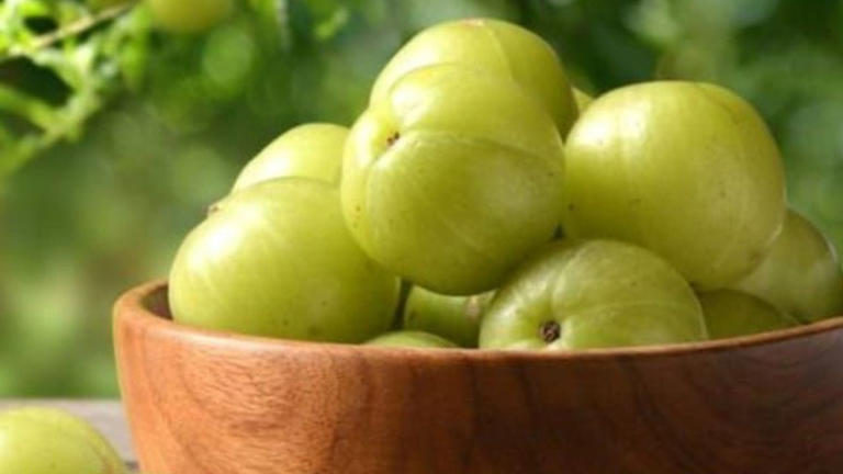 How to store amla for long term: Easy storage methods for maximum freshness