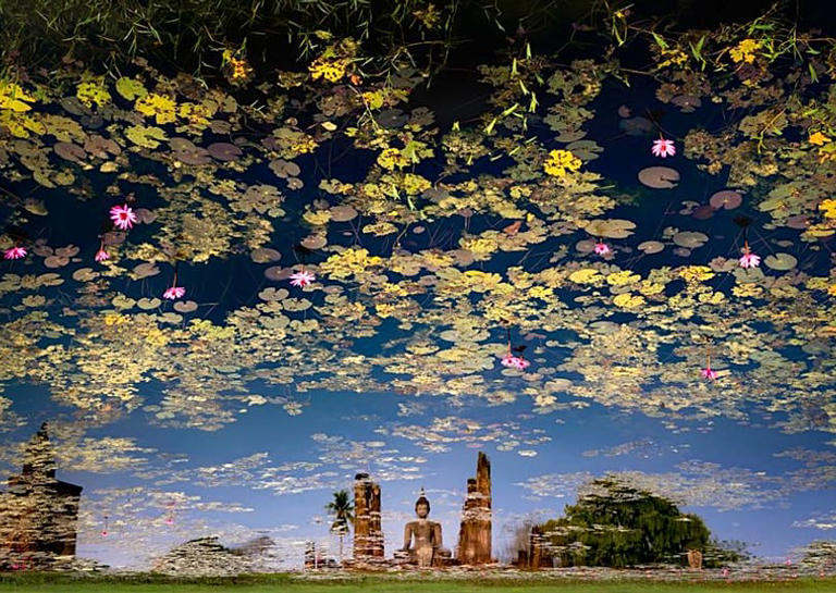 Melhores fotos de viagem de 2025 reveladas: dervixes, elefantes e ...
