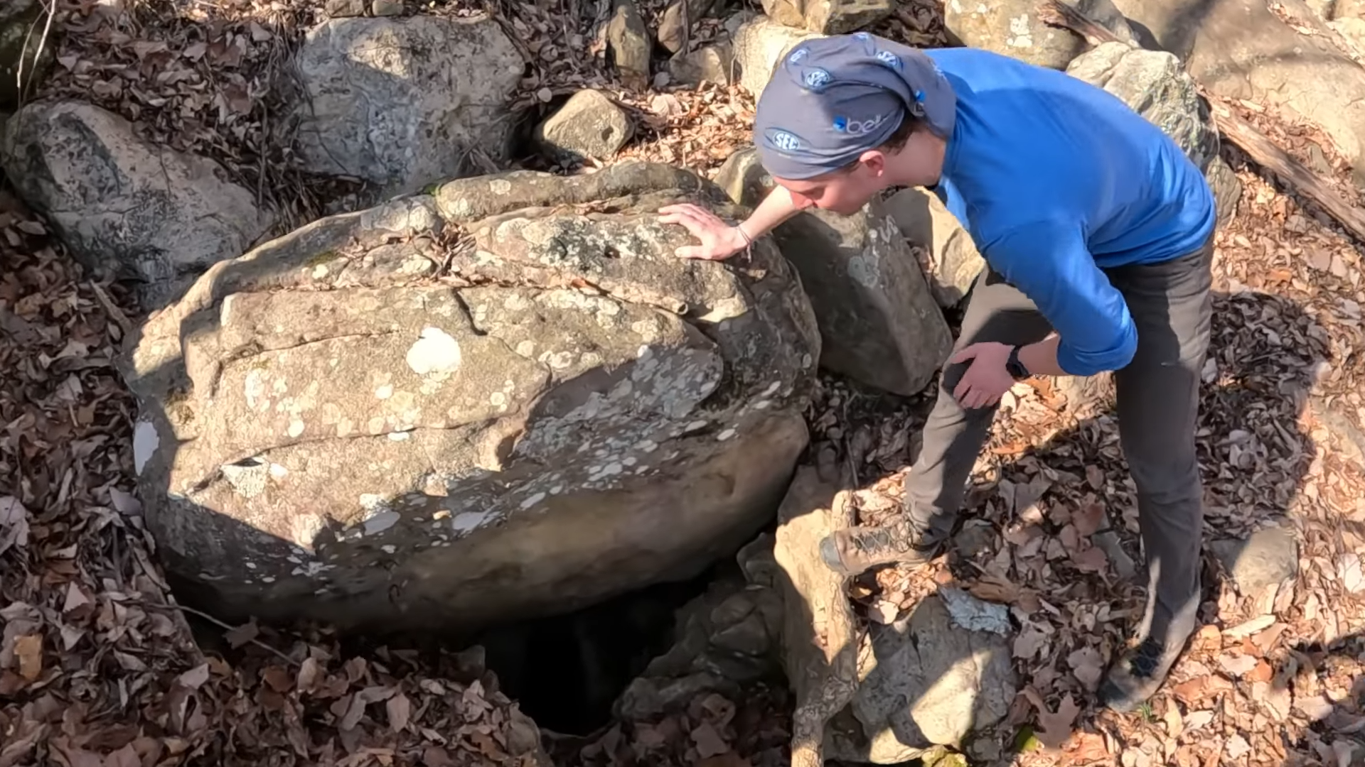 This forest hid a massive hole descending hundreds of feet