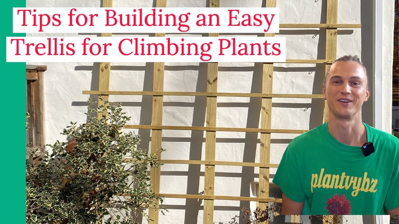 Build a DIY trellis for your climbing plants (clematis, honeysuckle ...