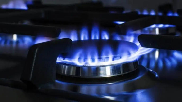 El Gobierno prorrogó la emergencia del sector energético para el ...