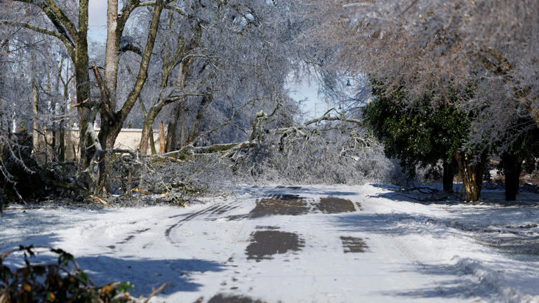 More than 60 deaths from winter storm Fern; 290,000 still without power ...