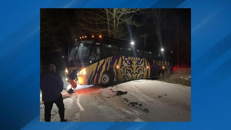 LSU team bus slides off roadway in Polk County