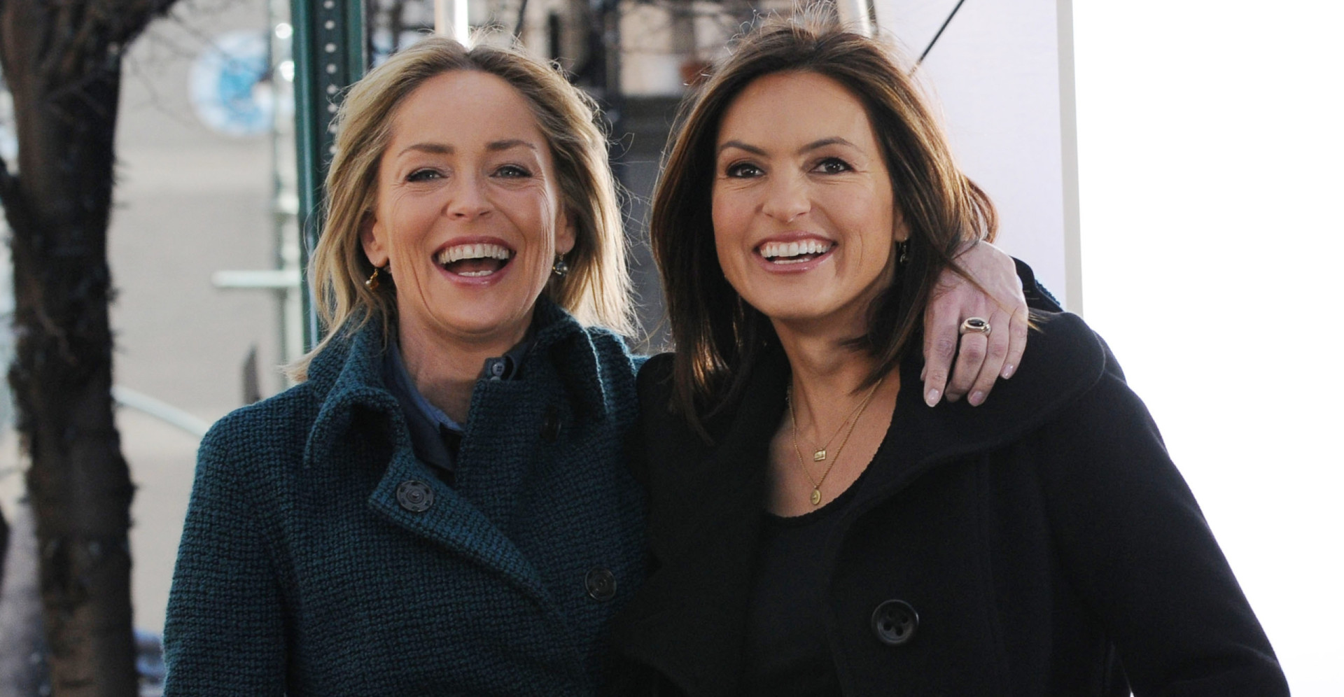Famous guest stars on 'Law & Order: Special Victims Unit'