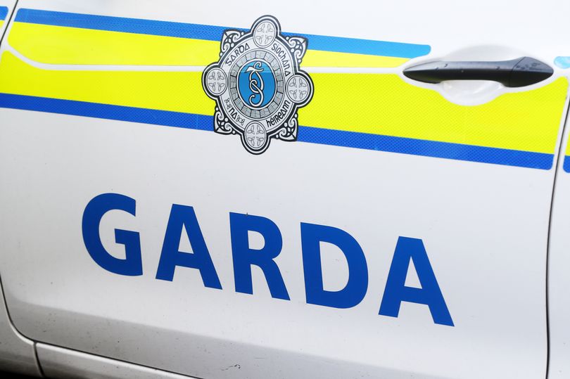 Boy rushed to hospital after sustaining injuries in dog attack in west ...