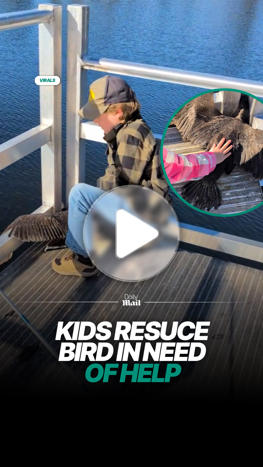 Kids step in to rescue bird trapped and in need of help