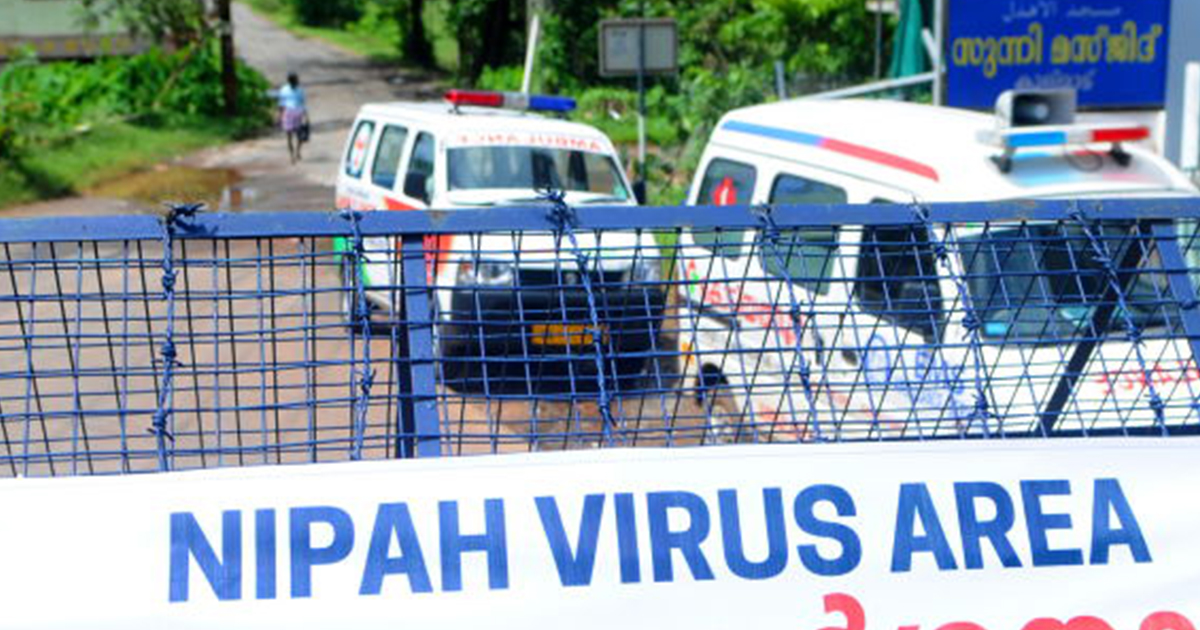 What is the Nipah virus? Symptoms and what to watch out for<br><br>