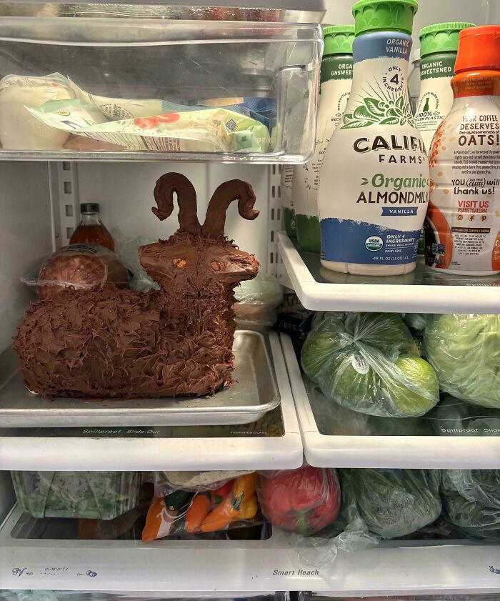 37 people found something so horrifying in a fridge, they had to show