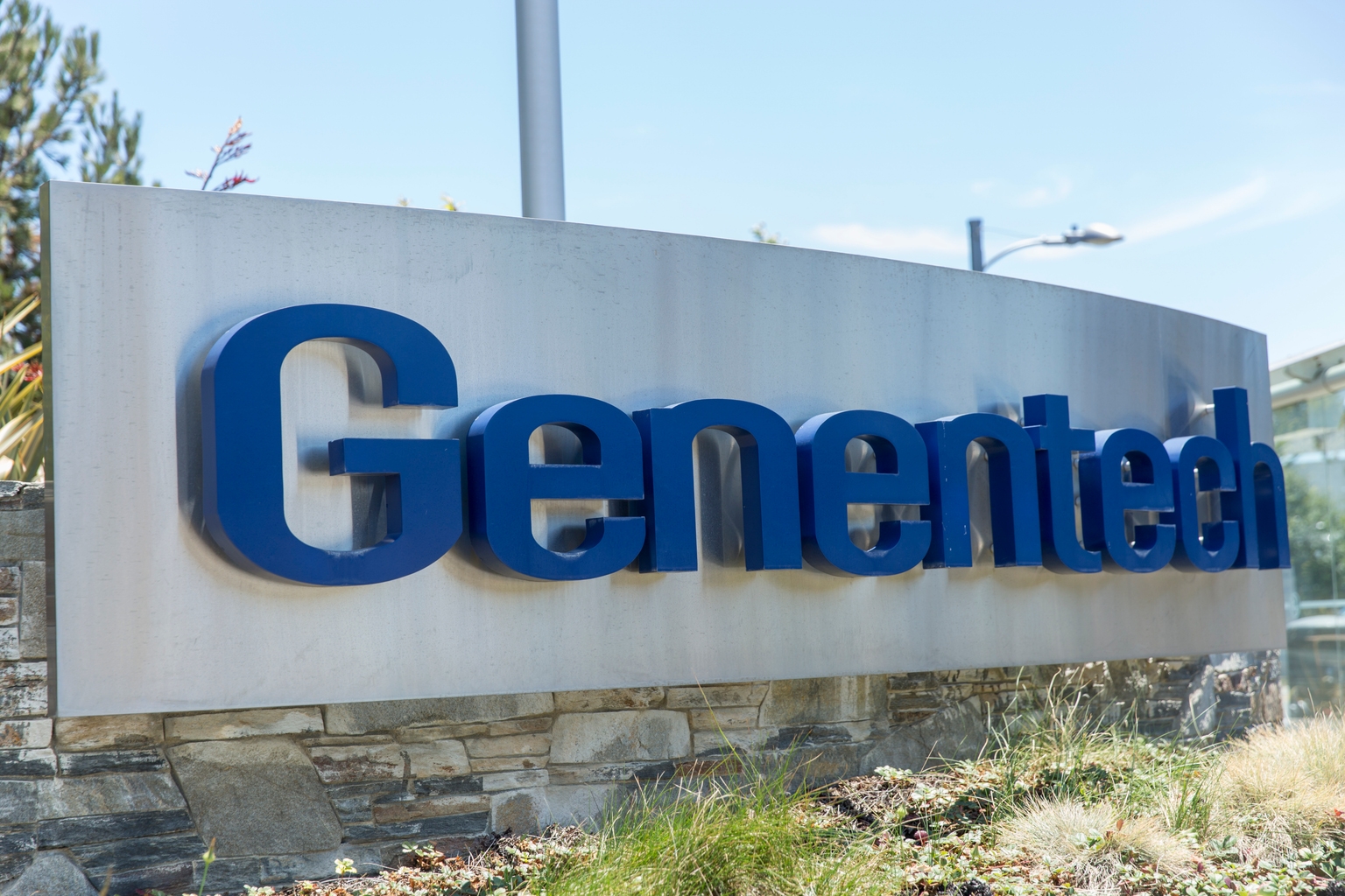 Genentech sees strong phase 2 results for obesity treatment CT-388