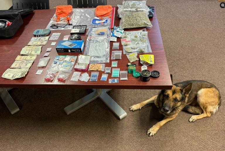 Traffic stop in New Bern yields large drug bust