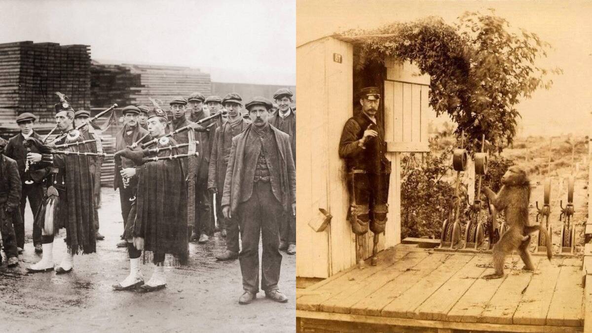 35+ real-life tales that sound like made-up stories