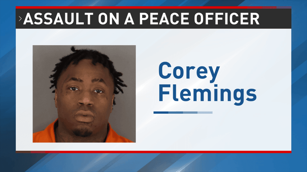 Man sentenced for assaulting, biting police officer
