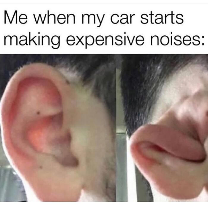 77 random memes that made scrolling way more enjoyable