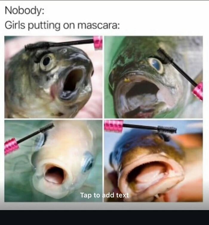77 random memes that made scrolling way more enjoyable