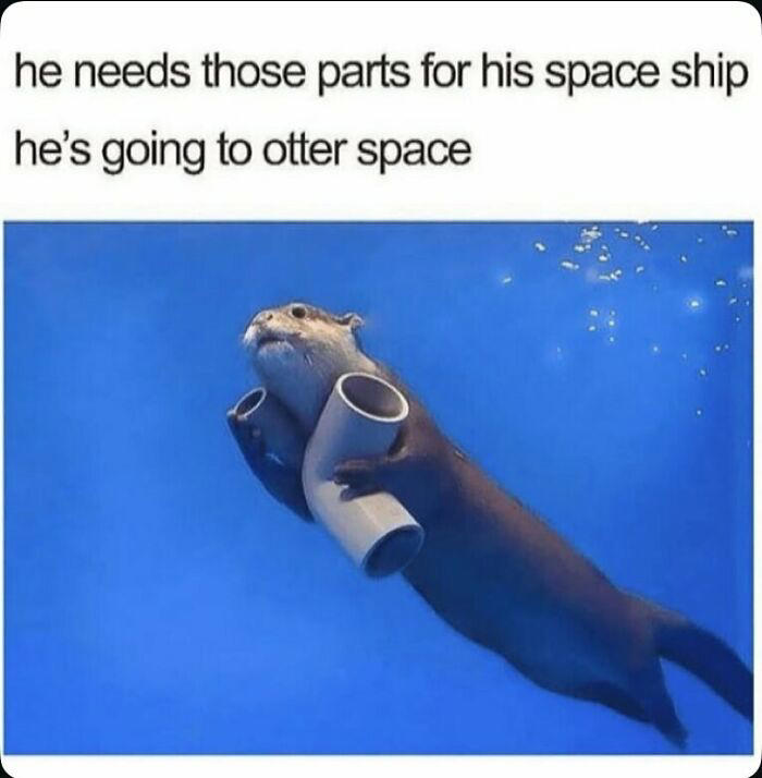 77 random memes that made scrolling way more enjoyable