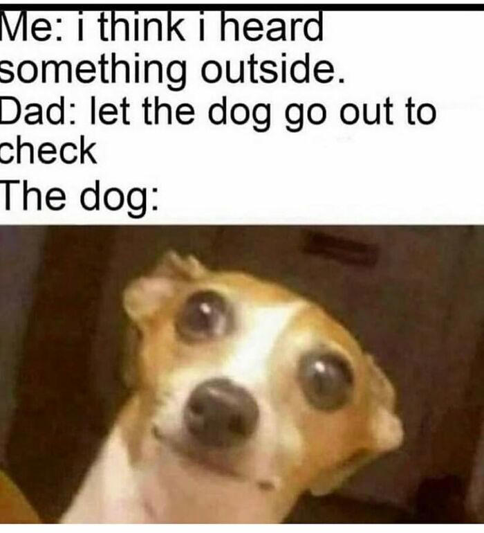 77 random memes that made scrolling way more enjoyable