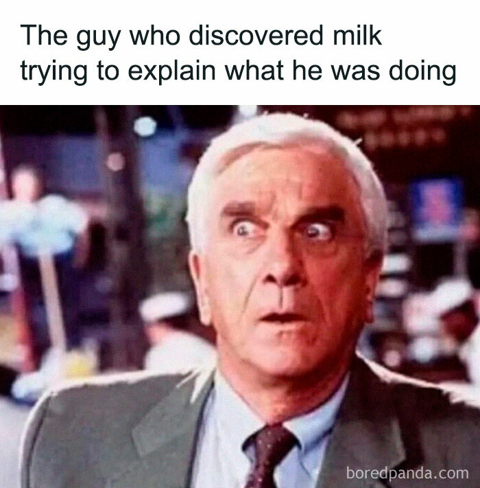 77 random memes that made scrolling way more enjoyable