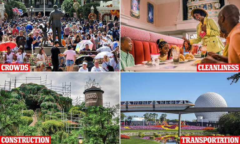 Visiting Disney is getting harder - here are four problems guests keep ...
