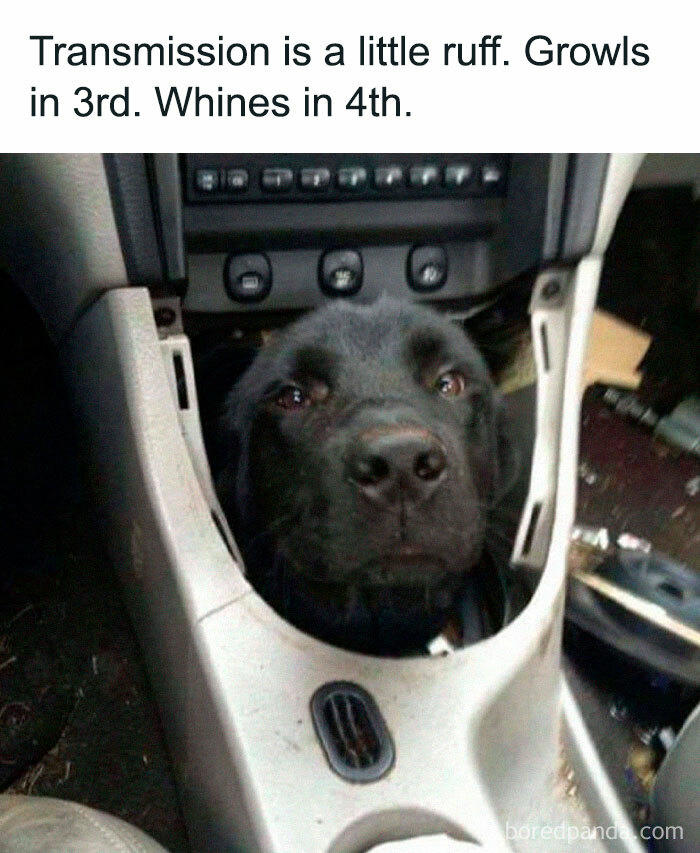 77 random memes that made scrolling way more enjoyable