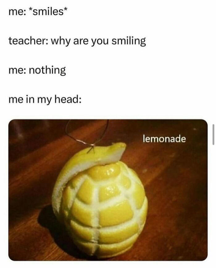 77 random memes that made scrolling way more enjoyable