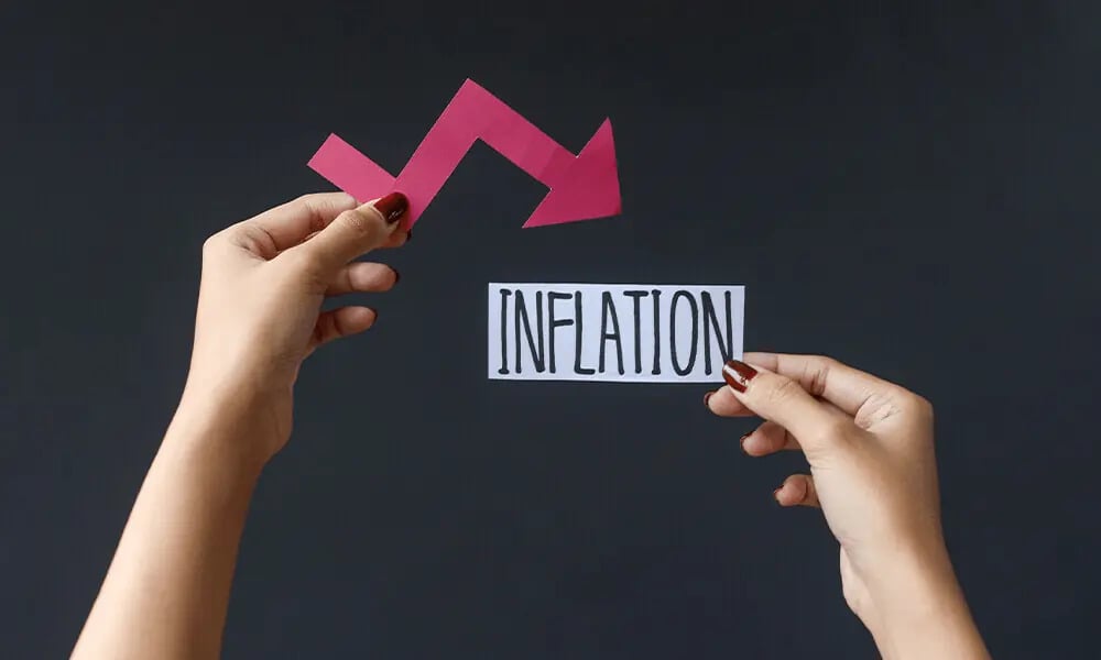 Finance Ministry sees steady inflation, growth risingPublished on ...