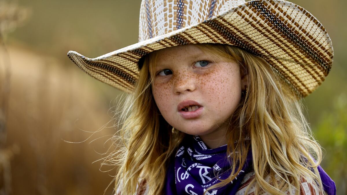 Step back into the past with the Great Florida Cattle Drive
