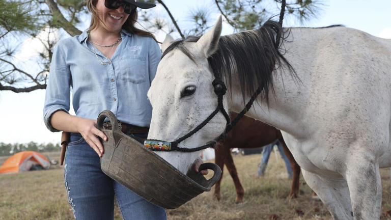 Step back into the past with the Great Florida Cattle Drive