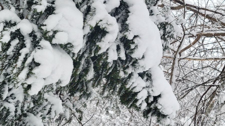 Ask Ellen: What's the 2026-27 winter looking like?
