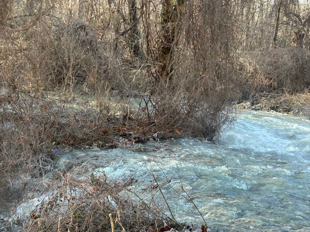 E coli levels explode along Potomac River in Maryland after sewer ...