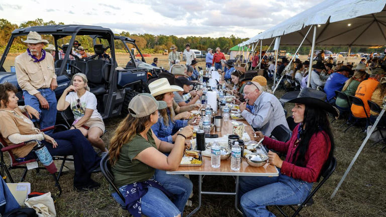 Step back into the past with the Great Florida Cattle Drive