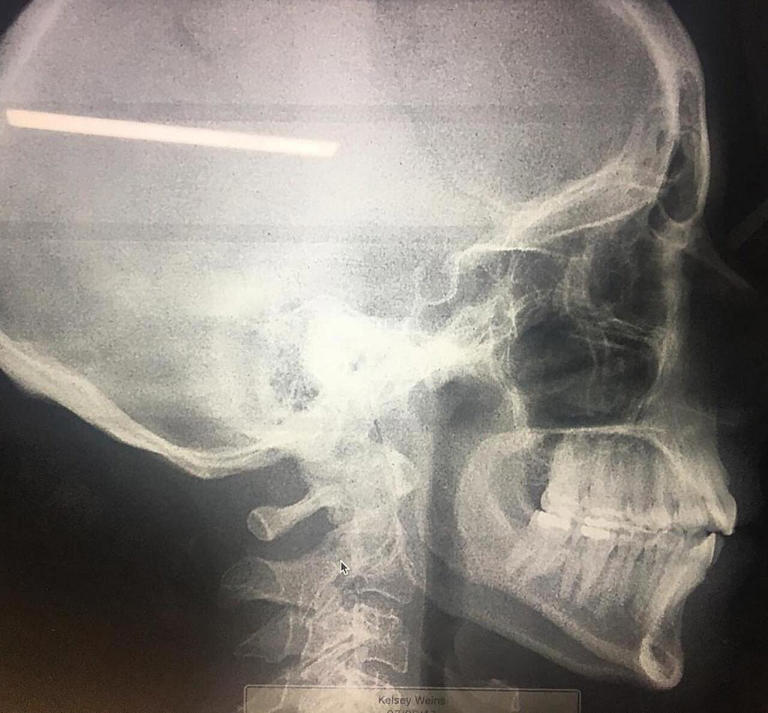 30 facts you got taught in school that aren't actually true anymore