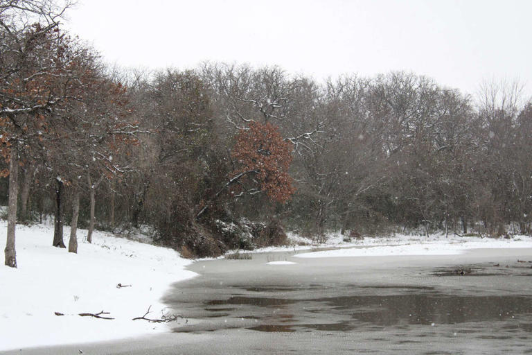 3 young brothers die in icy pond in Bonham as winter storm death toll rises