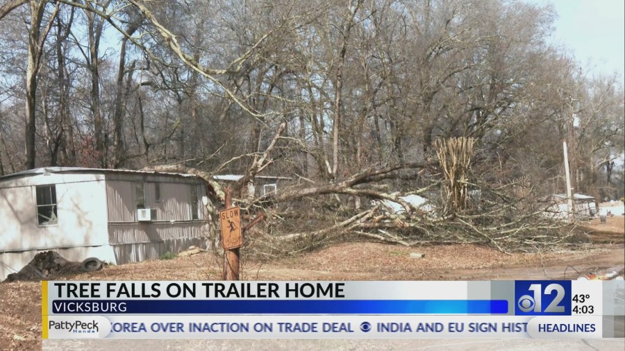 Fallen tree splits trailer in Vicksburg, injuring mother and child
