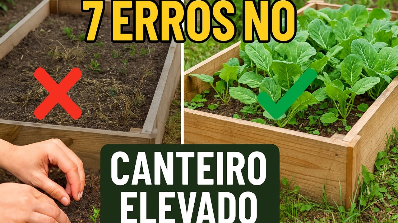 7 erros que você deve evitar ao plantar em canteiros elevados