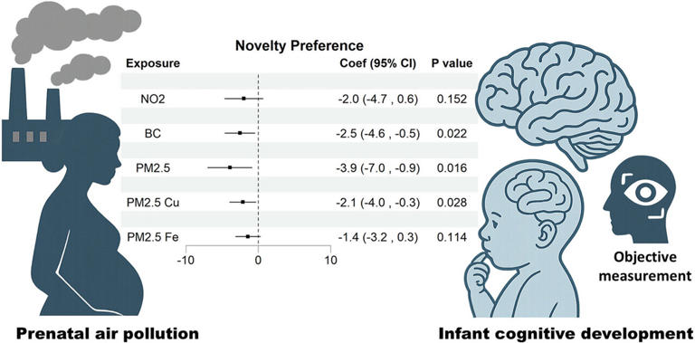 Prenatal exposure to air pollution associated with lower cognitive ...