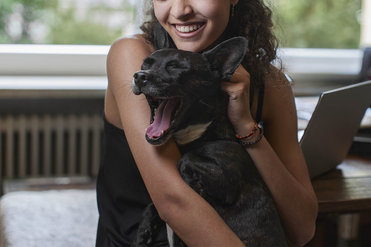 Having a dog may improve the mental health of teenagers, study finds