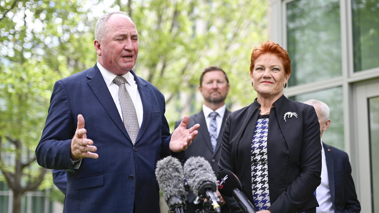 ‘Give us a go’: Big call on One Nation