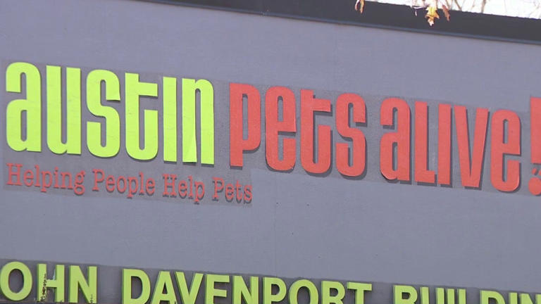 Austin Pets Alive! receives record amount of fosters ahead of winter storm