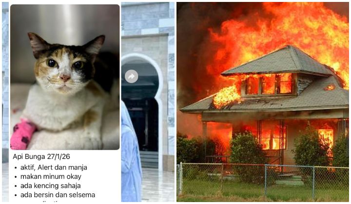 Cat who survived Kota Bahru house fire nicknamed 